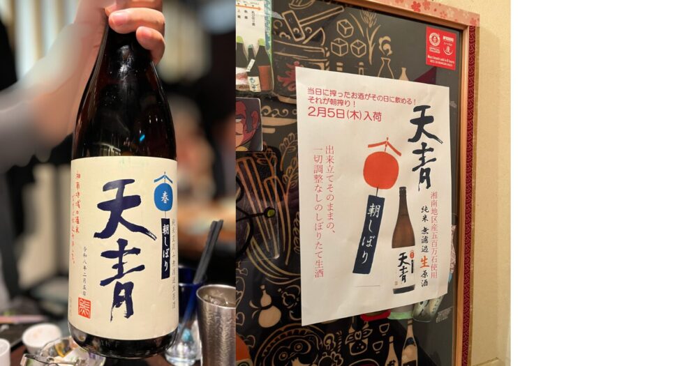 天青の朝搾りの日本酒